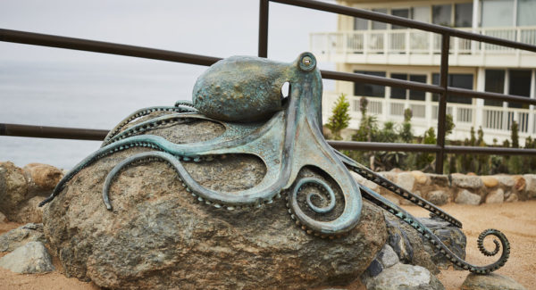 Oceanic Wildlife Bronze Sculpture | Thomas Studios now representing Casey Parlette ocean gallery - coastal wildlife sculptures - octopus statue
