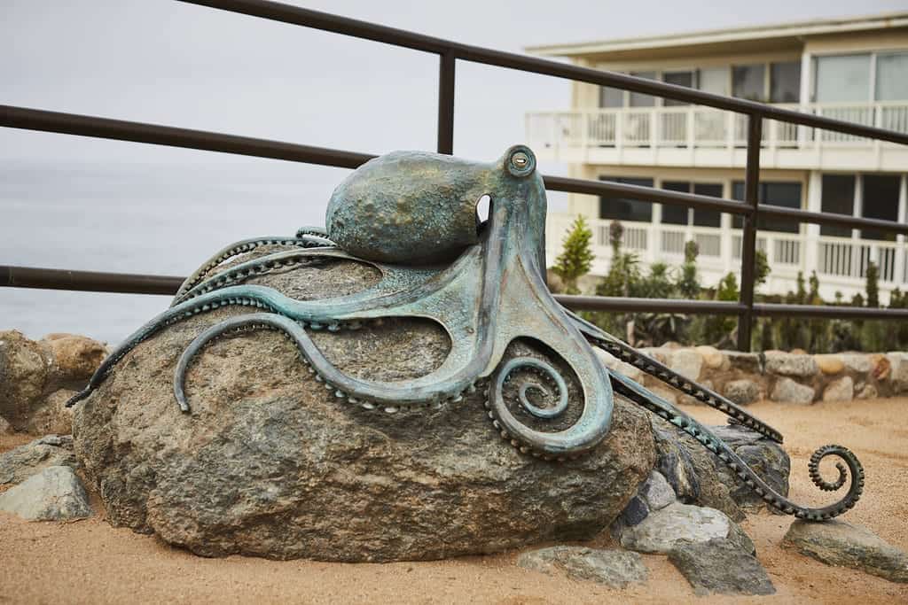 coastal wildlife sculptures - Ocean sculptures